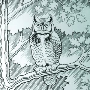 A sandblasted image in glass of an owl sitting in a tree.